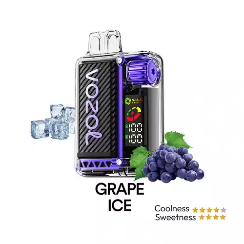 Vozol 20000 Grape Ice