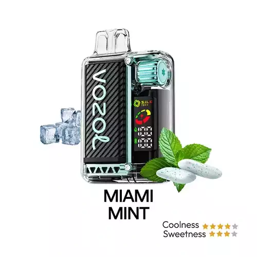 Vozol 20000 Miami Mint